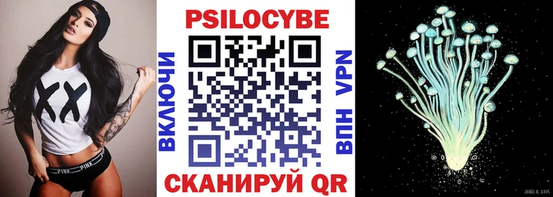 Псилоцибиновые грибы Psilocybe Купить Советск